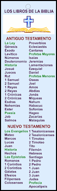 los libros de la biblia
